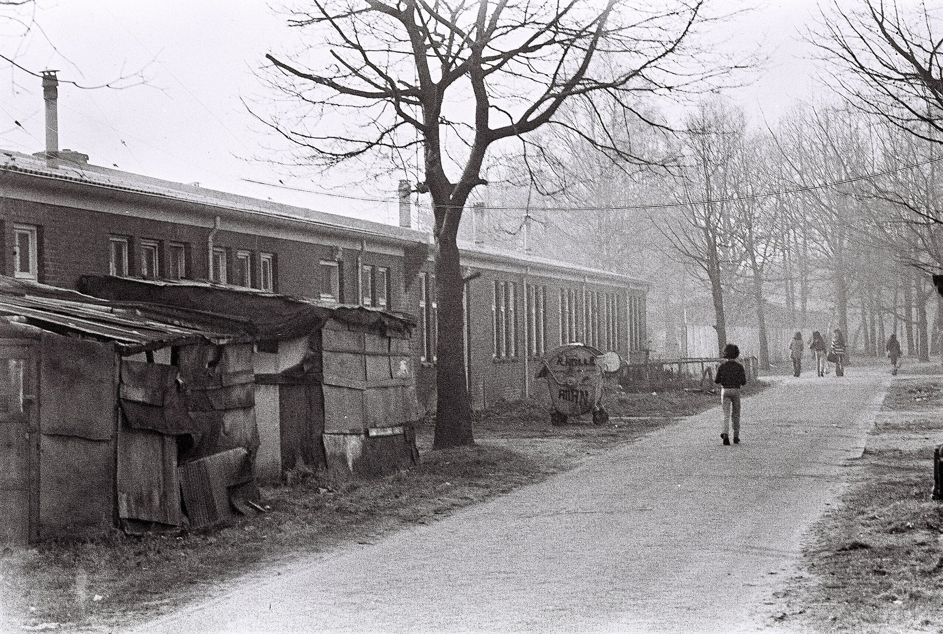 Molukse gemeenschap, afbeelding 1
