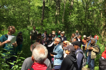 Stem op project Wyldemerck