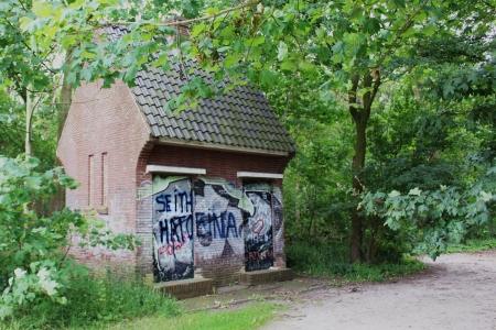 Project Wyldemerck